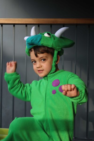 Shaked Dinosaur Costume 2